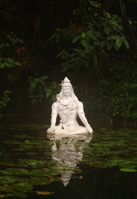 A white statue reflected in a pond of lily pads