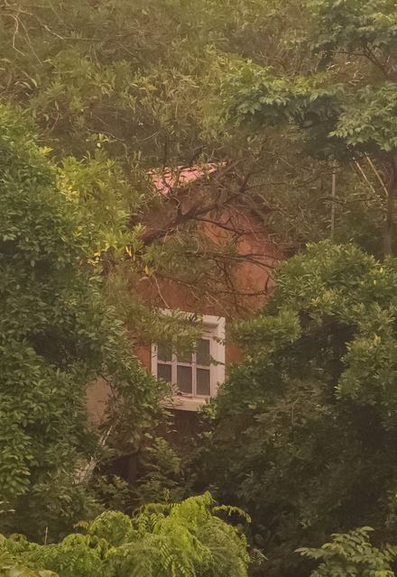A red-roofed house half hidden by trees